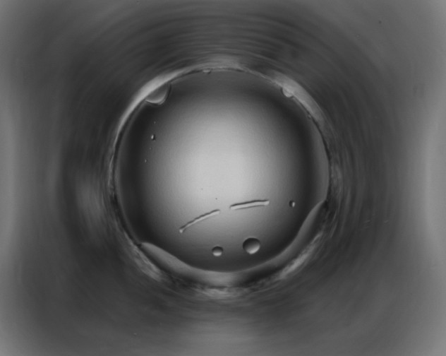 X0000086931052200704161420