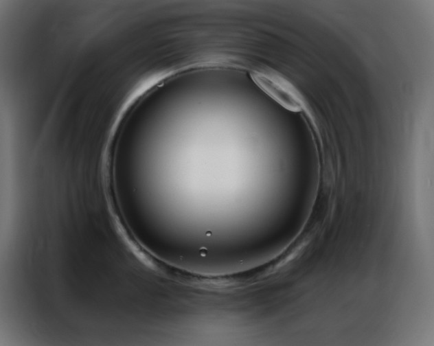 X0000086931053200704161420