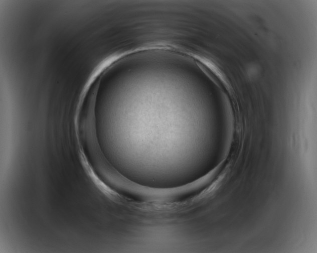 X0000086931054200704161420