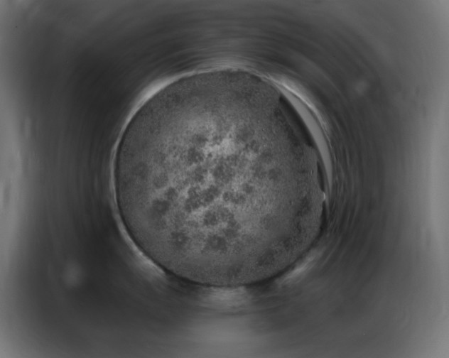 X0000086931055200704161420