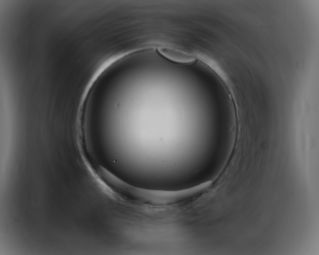 X0000086931056200704161420