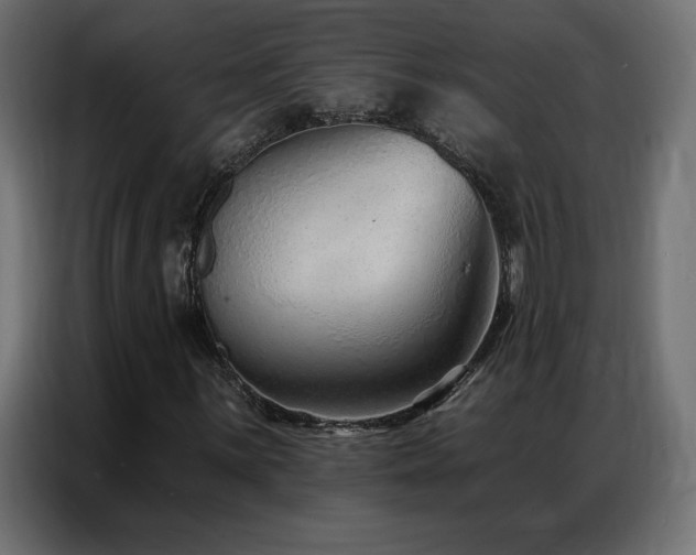 X0000086931059200704161419