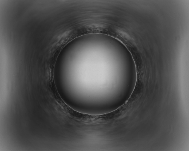 X0000086931061200704161419