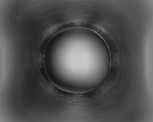 X0000086931062200704161419