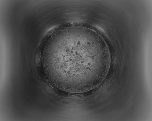 X0000086931063200704161419