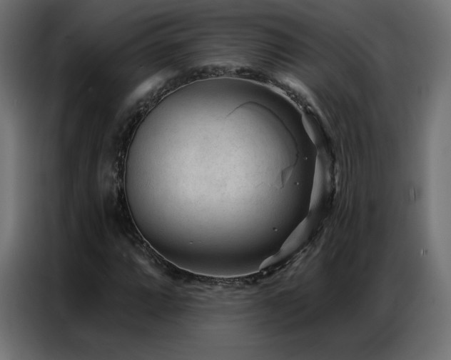 X0000086931064200704161419