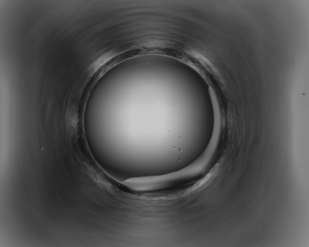 X0000086931065200704161419