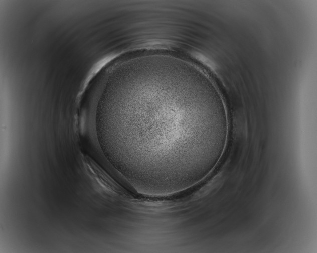 X0000086931066200704161419
