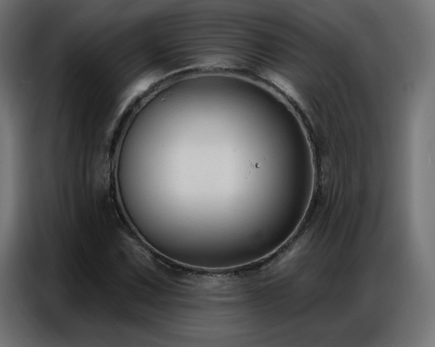 X0000086931067200704161419