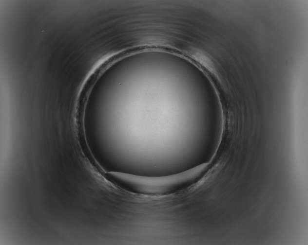 X0000086931068200704161419