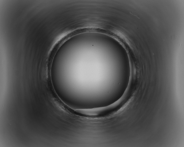 X0000086931069200704161419