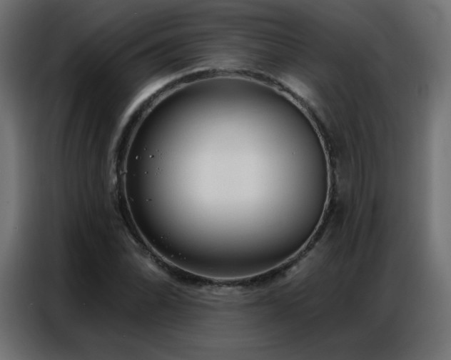 X0000086931070200704161419