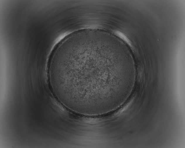 X0000086931071200704161419