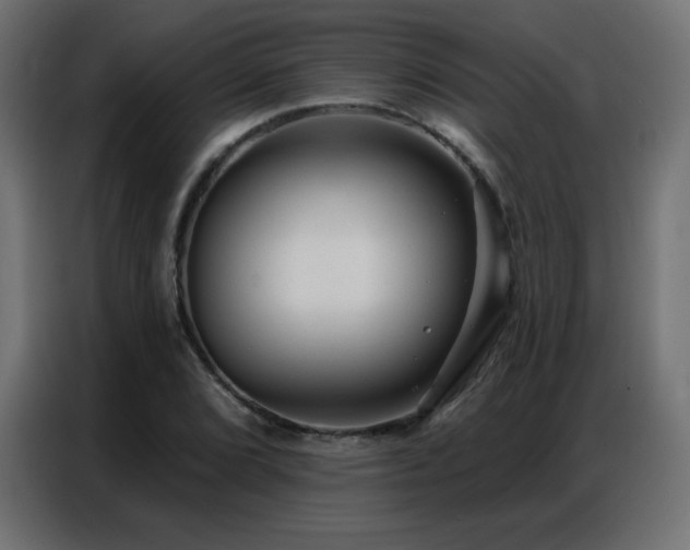 X0000086931072200704161419