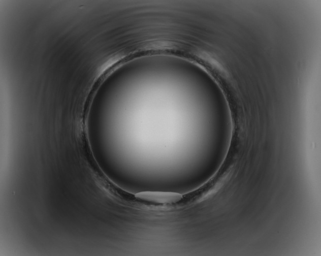 X0000086931073200704161419