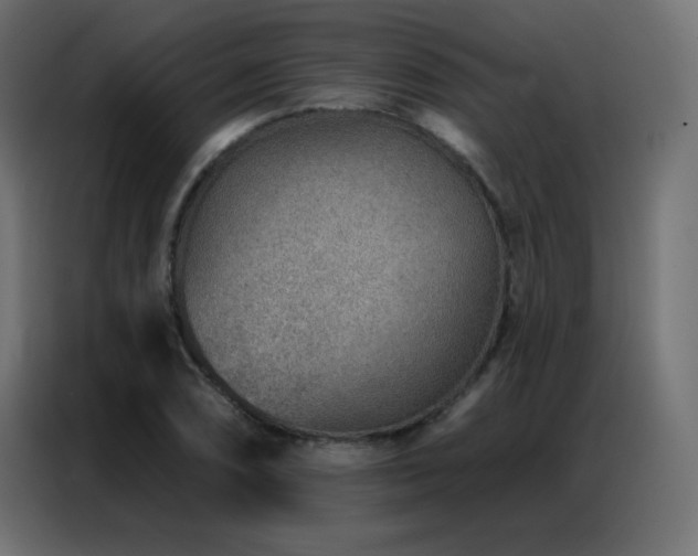 X0000086931074200704161419