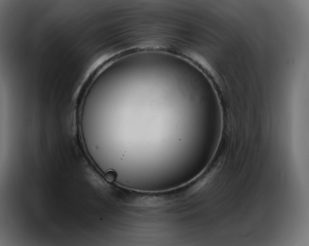 X0000086931075200704161419