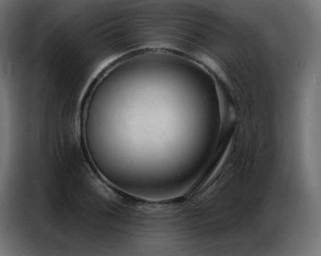 X0000086931076200704161419
