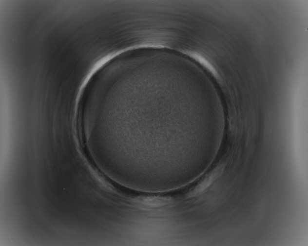 X0000086931077200704161419