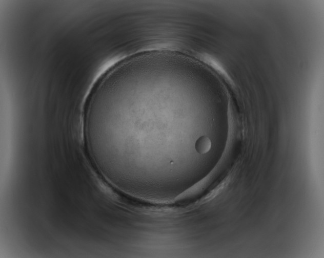 X0000086931079200704161419