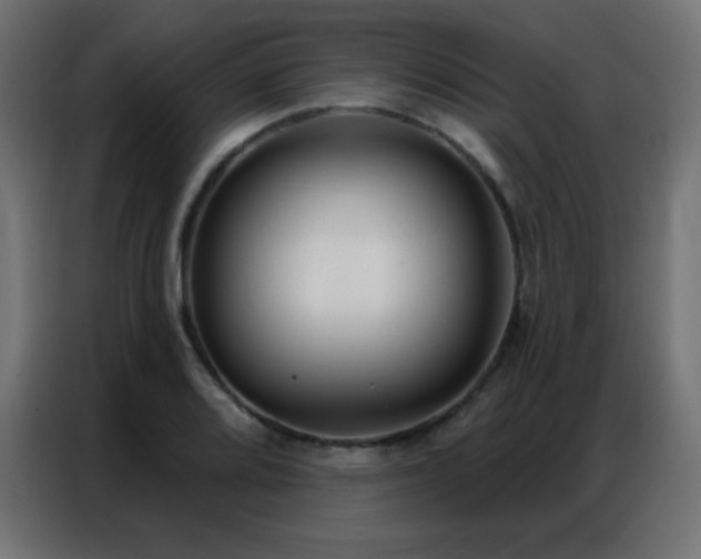X0000086931080200704161419