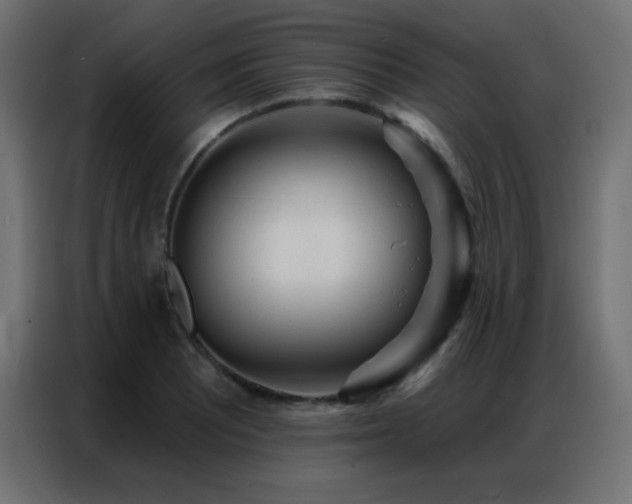X0000086931081200704161419