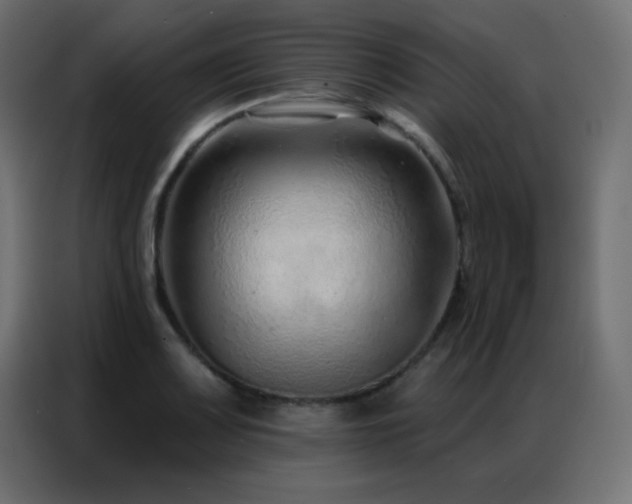 X0000086931083200704161419