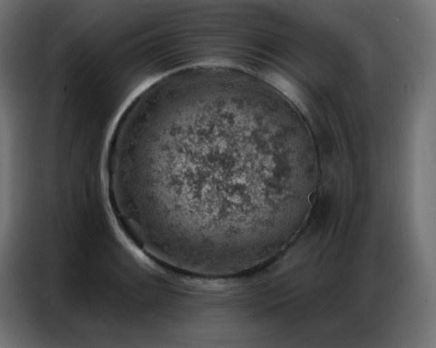 X0000086931084200704161419