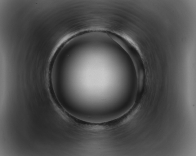 X0000086931085200704161419