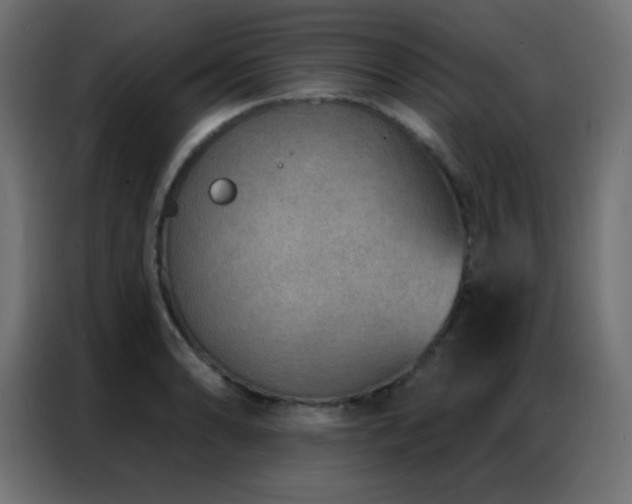 X0000086931086200704161419