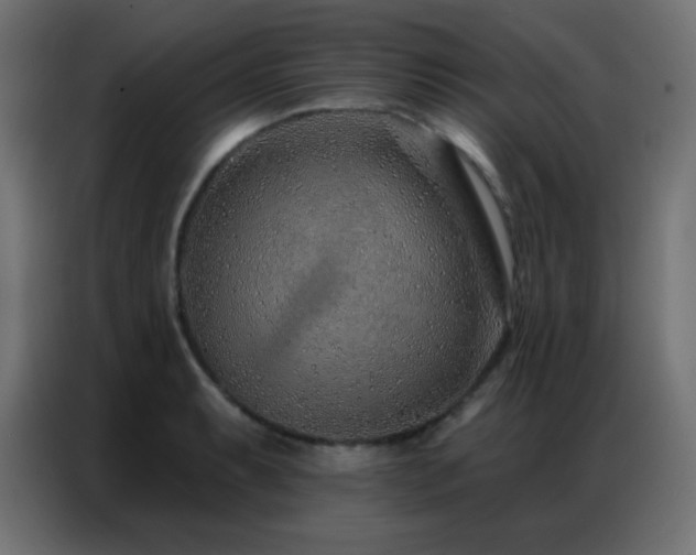 X0000086931087200704161419