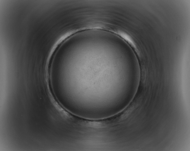 X0000086931088200704161419