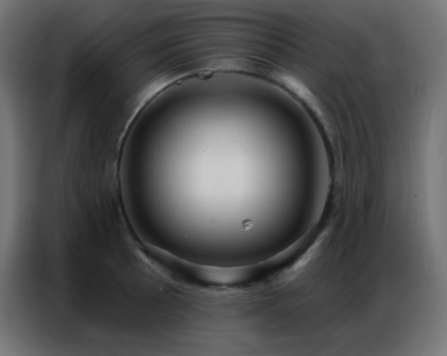 X0000086931089200704161419