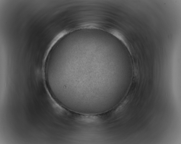 X0000086931090200704161419