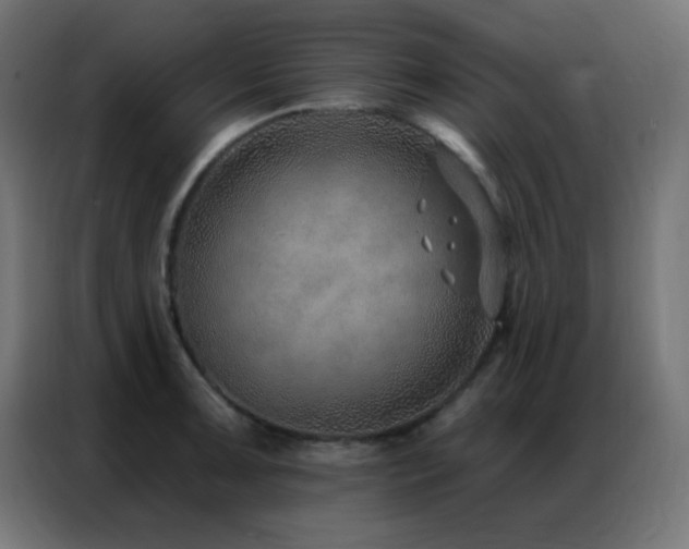 X0000086931091200704161419