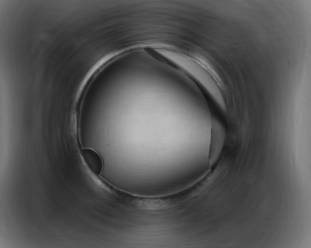 X0000086931092200704161419