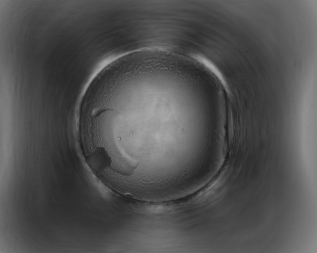 X0000086931099200704161419