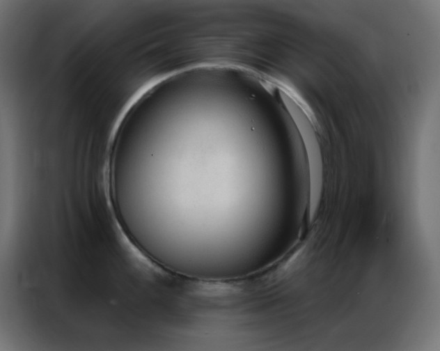 X0000086931100200704161419