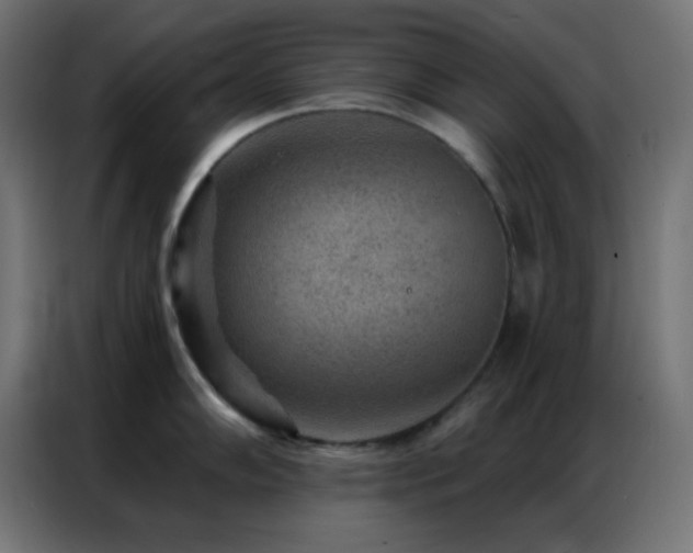 X0000086931102200704161419