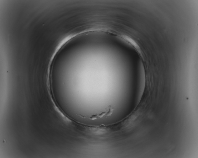X0000086931103200704161419
