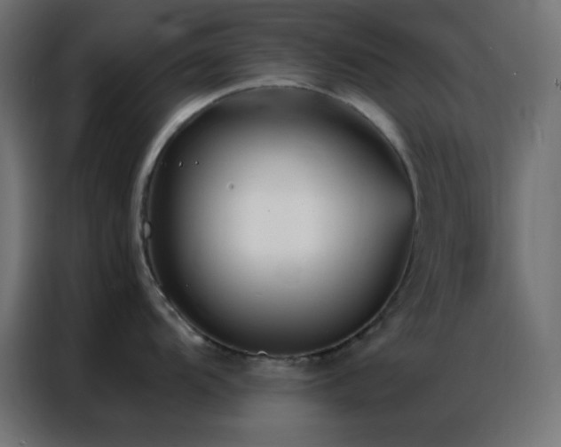 X0000086931104200704161419