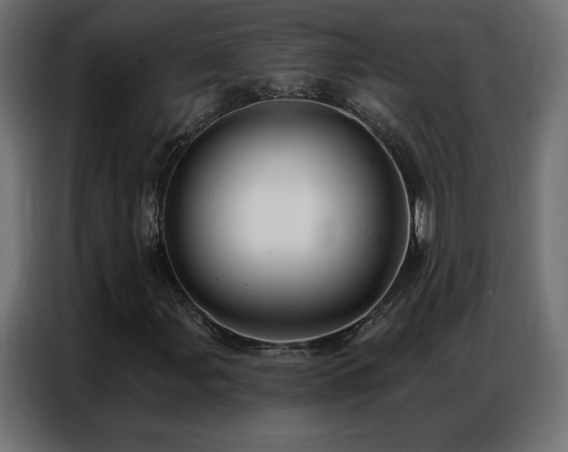 X0000086931107200704161418