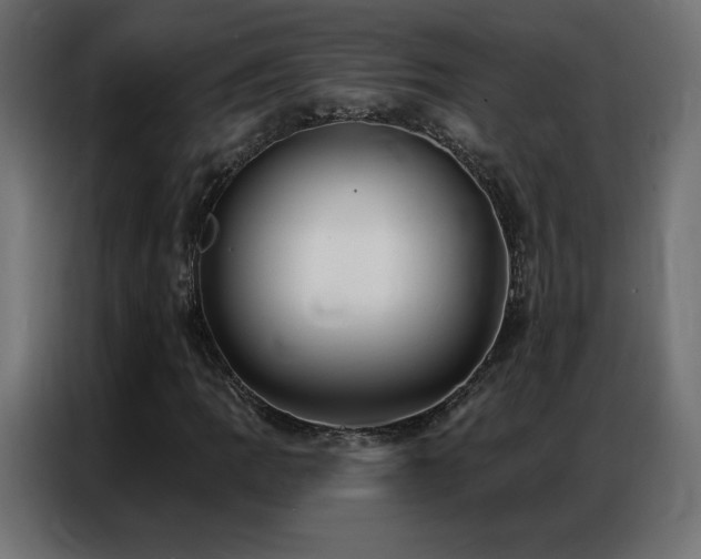 X0000086931109200704161418
