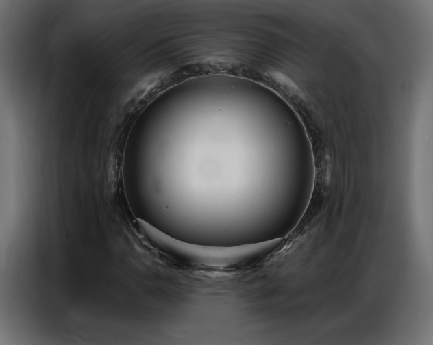 X0000086931110200704161418