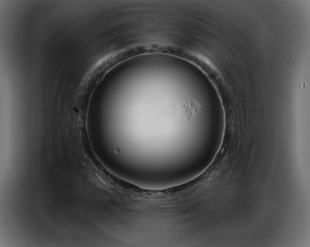 X0000086931112200704161418
