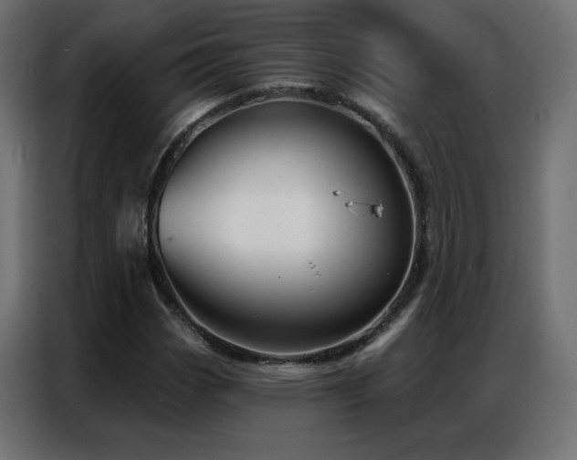 X0000086931113200704161418