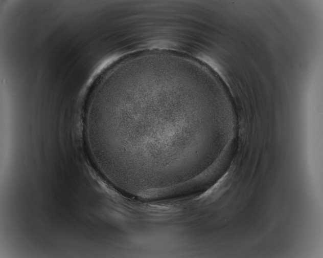 X0000086931115200704161418