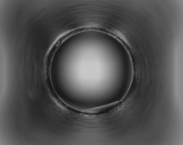X0000086931116200704161418