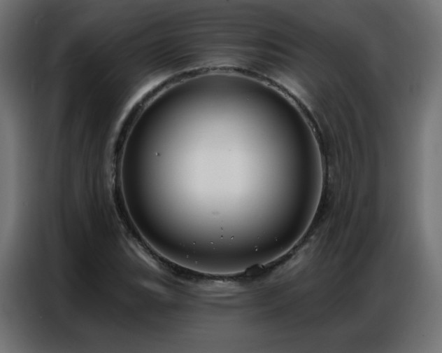 X0000086931119200704161418