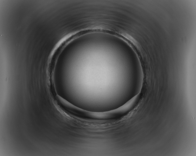 X0000086931120200704161418